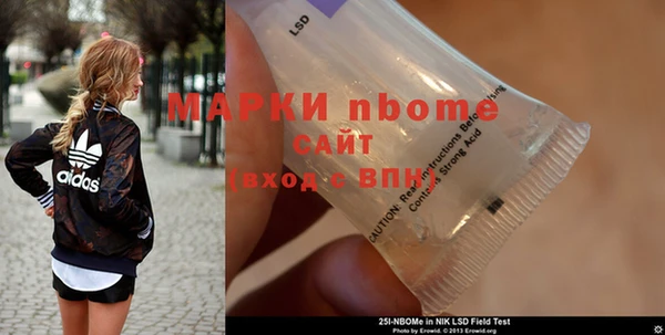 прущие грибы Михайлов