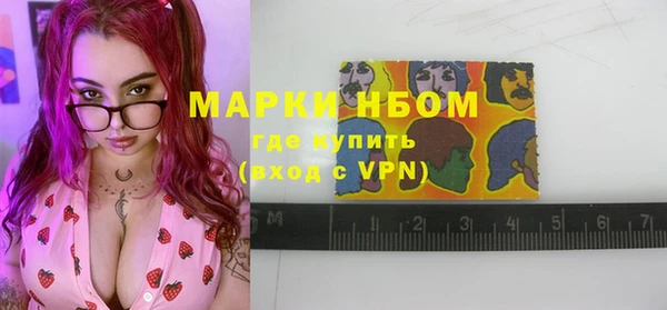 прущие грибы Михайлов