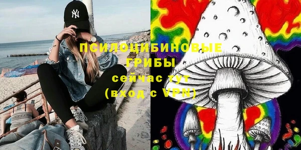 крисы Михайловск