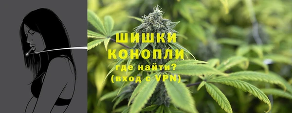 прущие грибы Михайлов