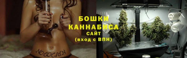 крисы Михайловск