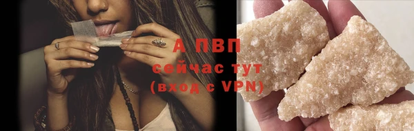 прущие грибы Михайлов
