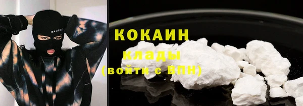 крисы Михайловск