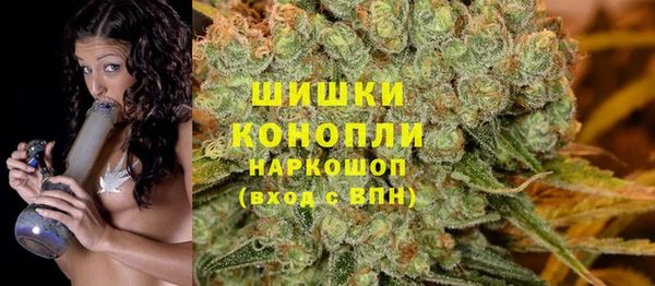 крисы Михайловск