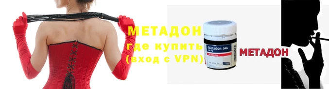 прущие грибы Михайлов