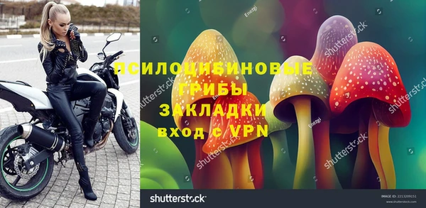 прущие грибы Михайлов