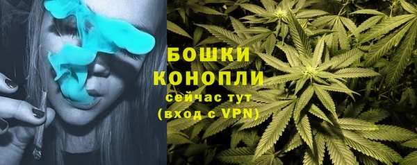 крисы Михайловск