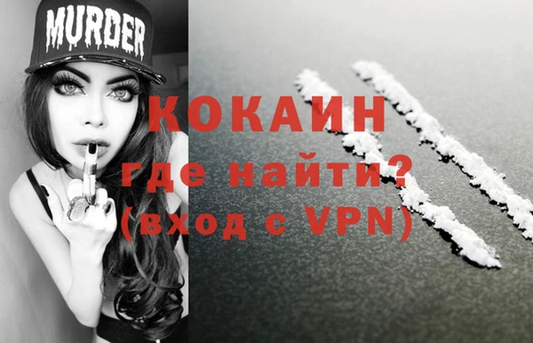 прущие грибы Михайлов