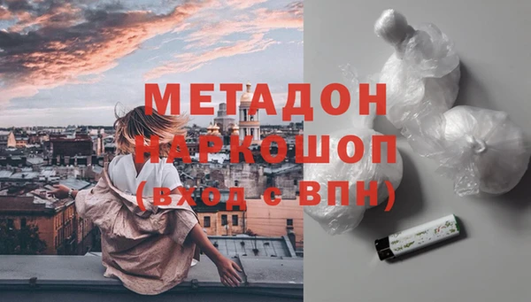 прущие грибы Михайлов