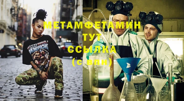прущие грибы Михайлов