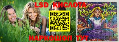 ALPHA-PVP Камышлов