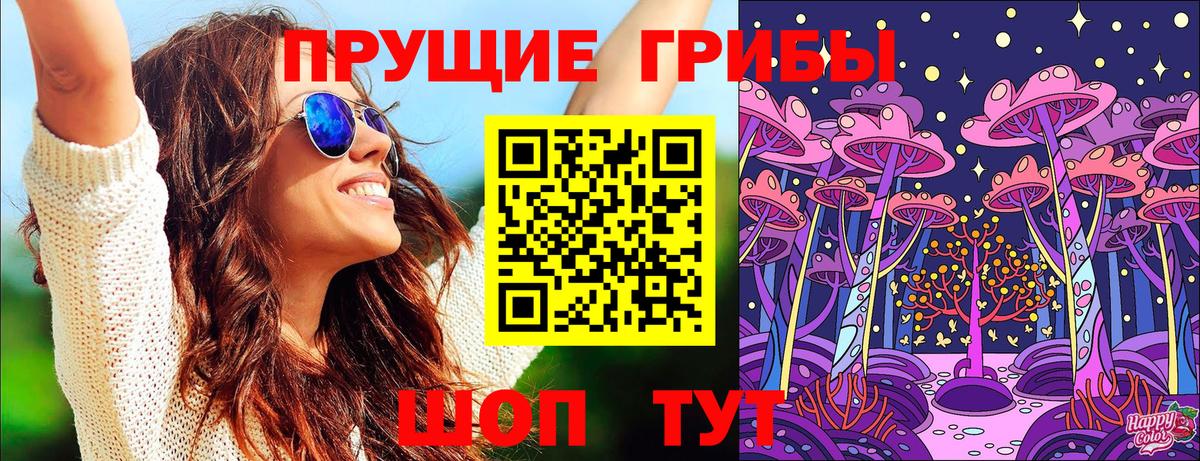 Самара  наркотики  Галлюциногенные грибы GOLDEN TEACHER  Вход с VPN  Галлюциногенные грибы Magic Shrooms 