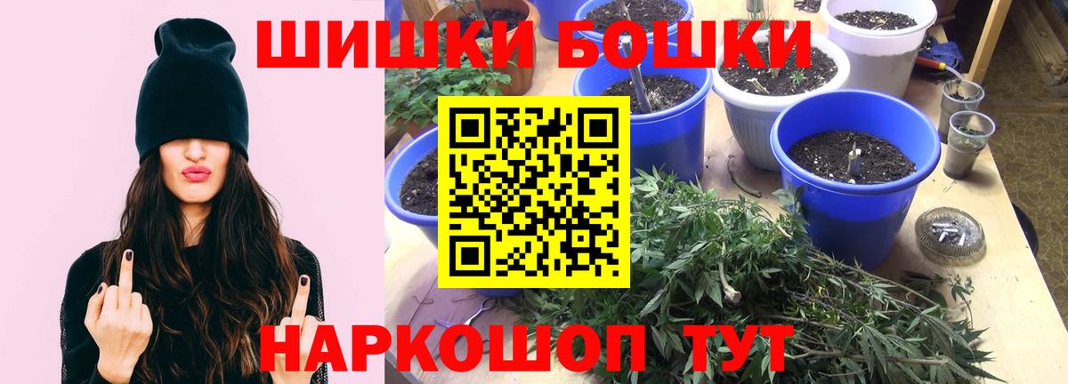 Бошки Шишки планчик Самара
